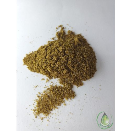 Brahmi por