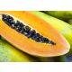 Papaya gyümölcsös kívonat