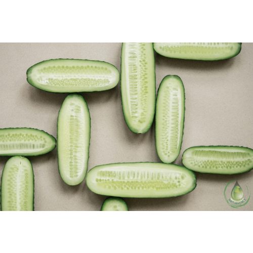 Uborkamag olaj - Bio