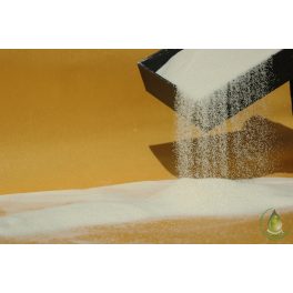 Ceralan (Cera bellina)