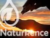 Dr. Natur Étkek Kendermagolaj 250 ml (étkezési) Dr. Natur Étkek Kendermagolaj 250 ml (étkezési)
