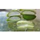 Aloe vaj